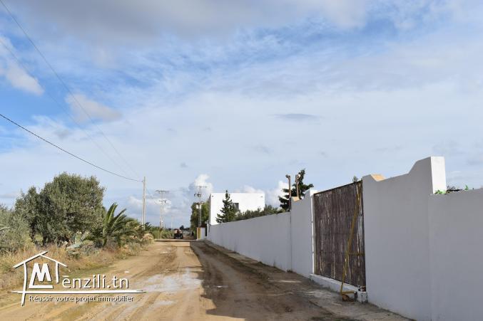 terrain à vendre 20.255.535