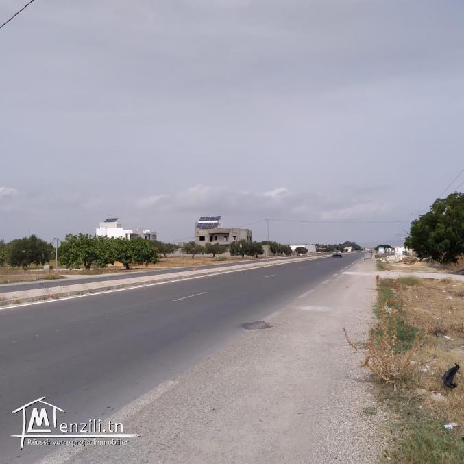 terrain à vendre 20.255.535