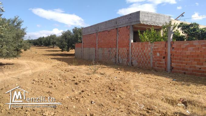 terrain à vendre 20.255.535