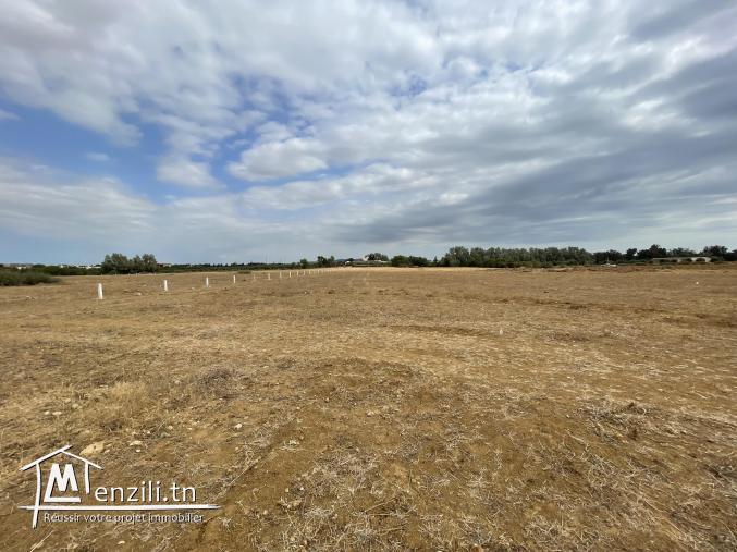 terrain à vendre 20.255.535