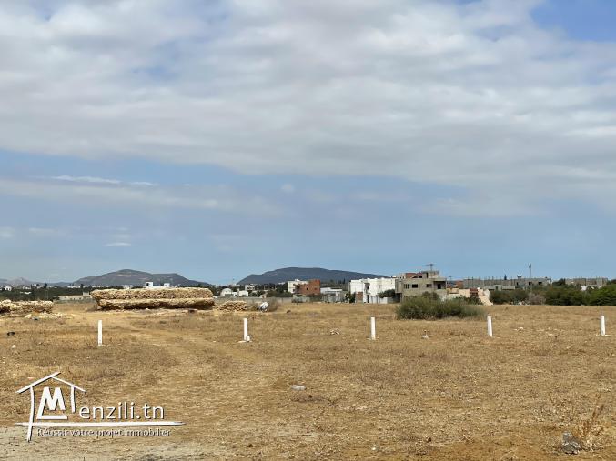 terrain à vendre 20.255.535