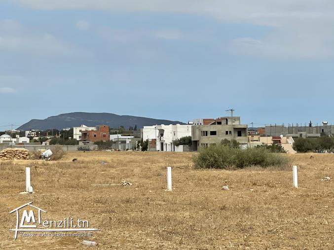 terrain à vendre 20.255.535