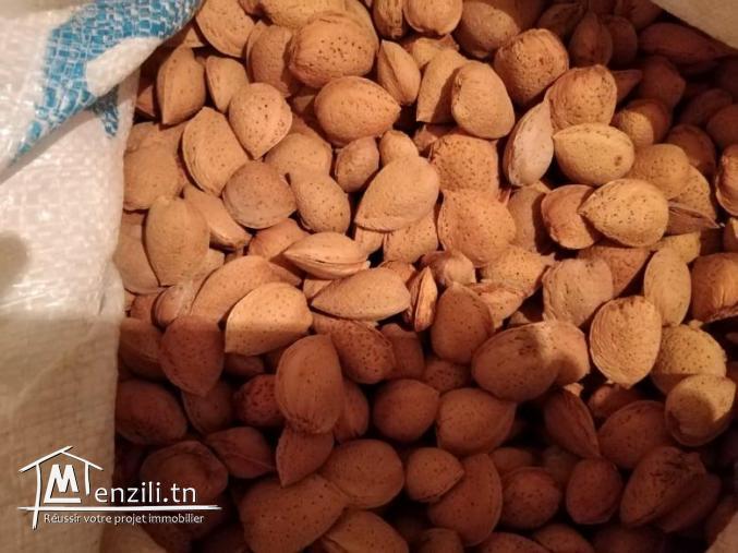   قطعة أرض للبيع مساحتها ما يقارب 9 هكتارات