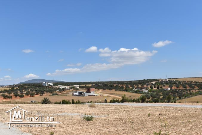 terrain à vendre 20.255.535