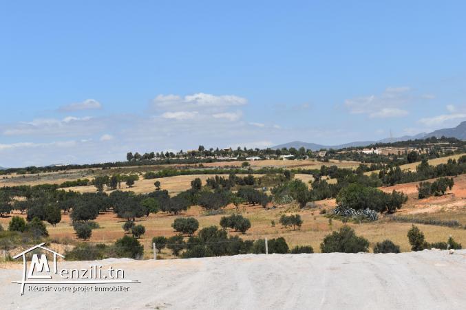 terrain à vendre 20.255.535