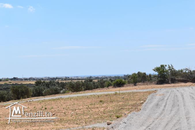 terrain à vendre 20.255.535