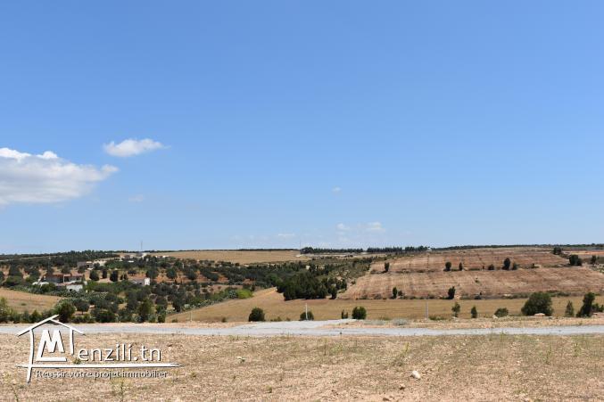 terrain à vendre 20.255.535