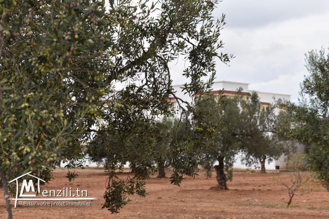 terrain à vendre 20.255.535