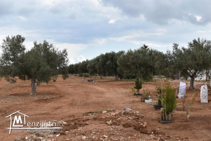 terrain à vendre 20.255.535