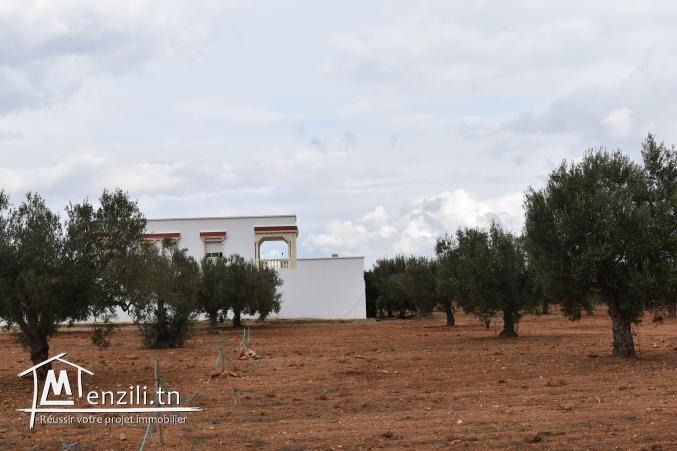 terrain à vendre 20.255.535