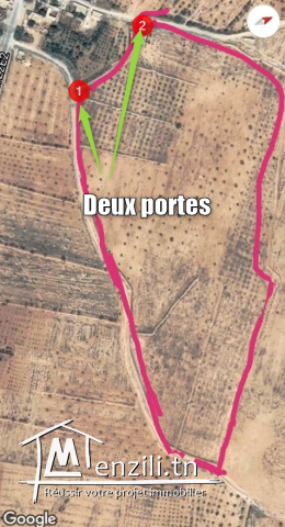   قطعة أرض للبيع مساحتها ما يقارب 9 هكتارات