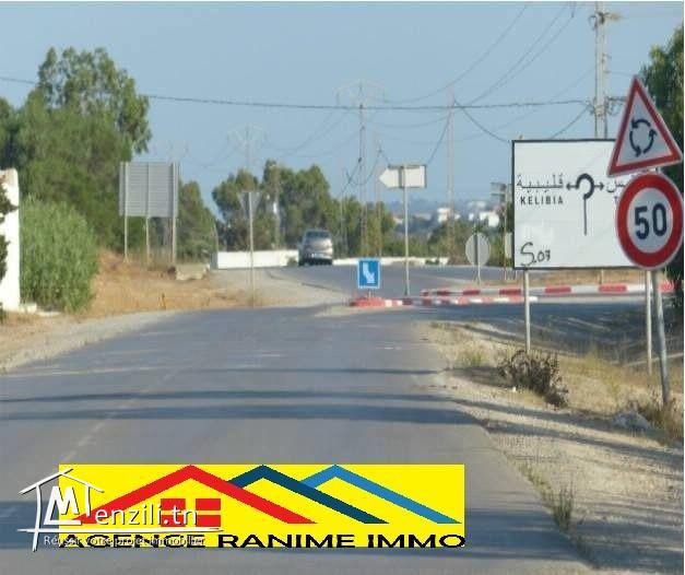 Ferme de 1 hect+5000m2 a el haouaria cap bon