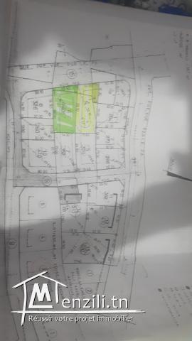 قطعتي أرض متجاورتان للبيع