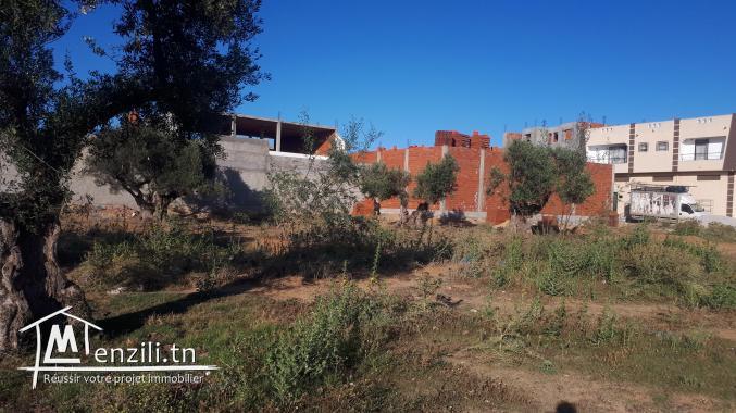 قطعتي أرض متجاورتان للبيع