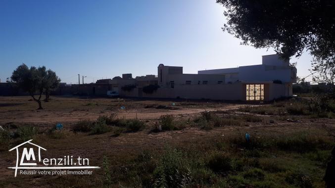 قطعتي أرض متجاورتان للبيع