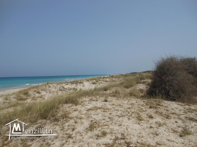 Terrain emplacement d'investissement et d'avenir