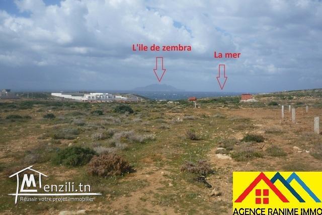 Lots des terrains de 200m2 a la mer el haouaria