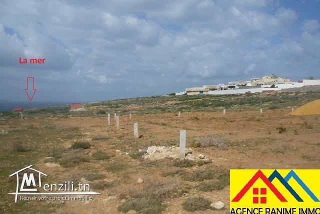 Lots des terrains de 200m2 a la mer el haouaria