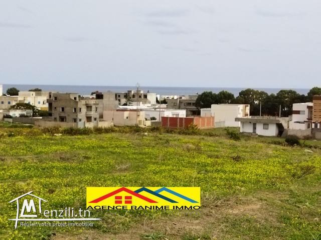 Terrain de 845m2 a la plage el haouaria cap bon