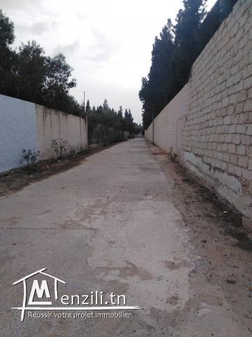 أرض في منطقة فخمة جدا موقع ممتاز في الحمامات الشمالية