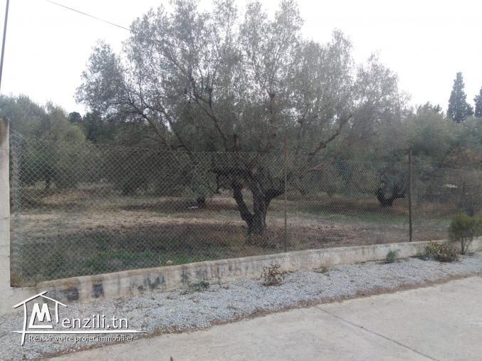 أرض في منطقة فخمة جدا موقع ممتاز في الحمامات الشمالية