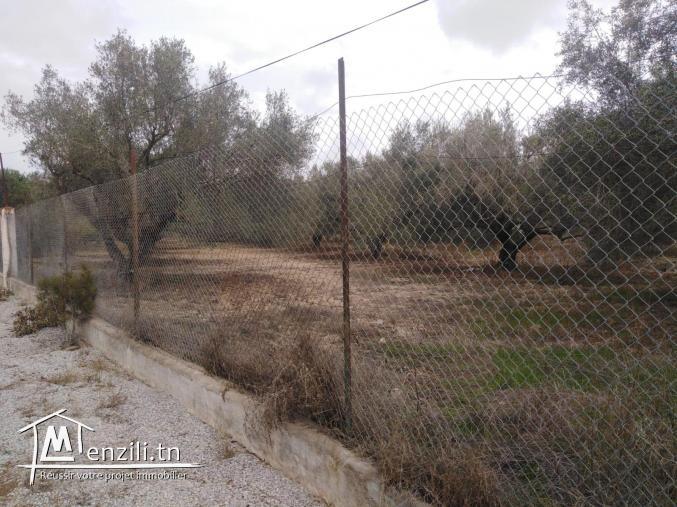 أرض في منطقة فخمة جدا موقع ممتاز في الحمامات الشمالية