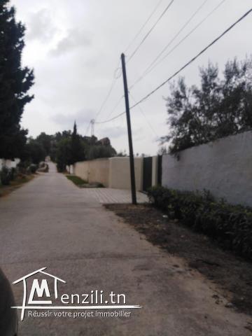 أرض في منطقة فخمة جدا موقع ممتاز في الحمامات الشمالية