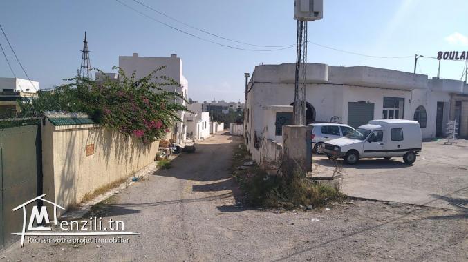 terrain à vendre 20.255.535