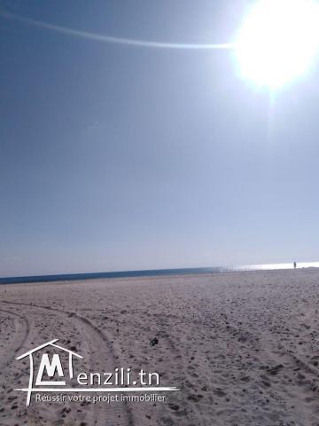 terrain à batir zone luxe hammamet yasmine