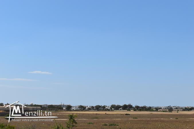 terrain à vendre 20.255.535