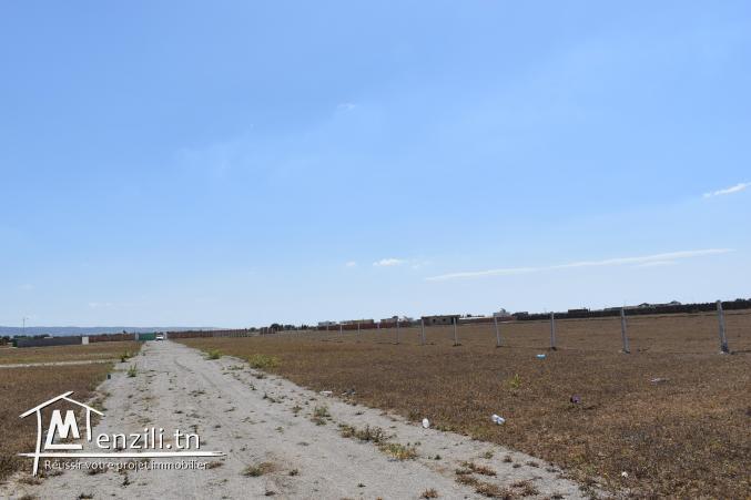 terrain à vendre 20.255.535