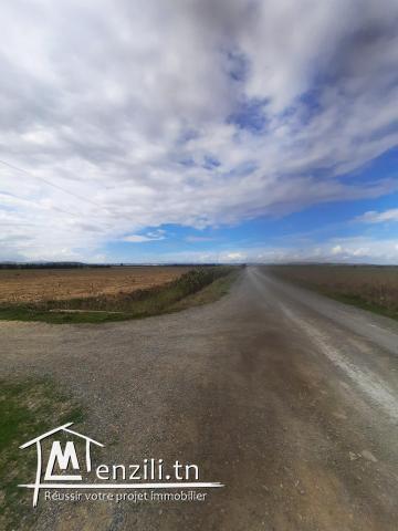 Ferma de 6 hectares a jdaida henna