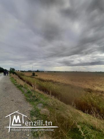 Ferma de 6 hectares a jdaida henna