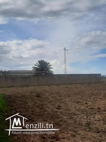 Ferma de 6 hectares a jdaida henna