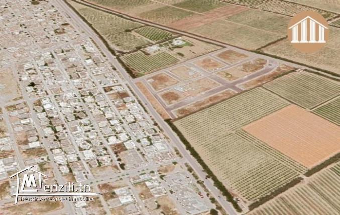 A Vendre des Lots Viabilisés à Morneg