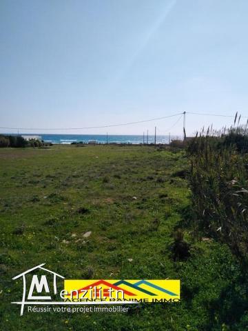 Terrain de 389m2 a la plage  el haouaria cap bon