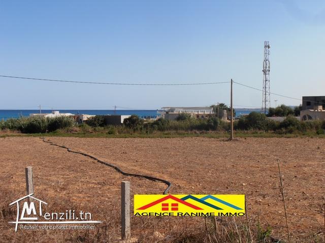 Terrain de 389m2 a la plage  el haouaria cap bon