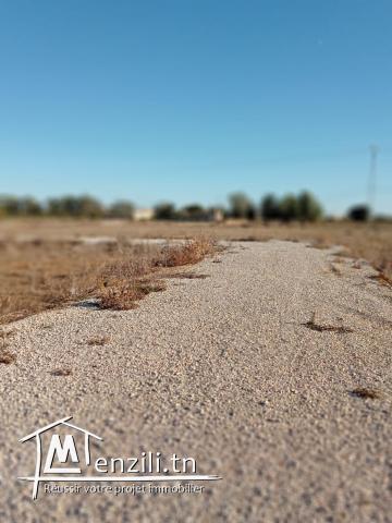 terrain pour projet industrielle , ou projet d'immeuble ou projet maison d'hôtes