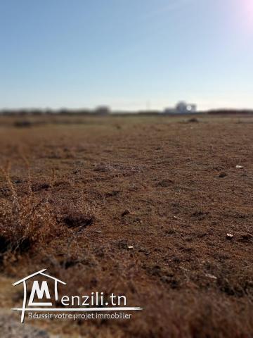 terrain pour projet industrielle , ou projet d'immeuble ou projet maison d'hôtes