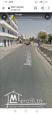 Terrain très bon  emplacement centre-ville