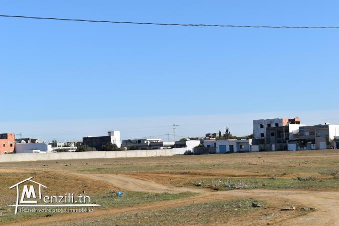 terrain à vendre 20.255.535