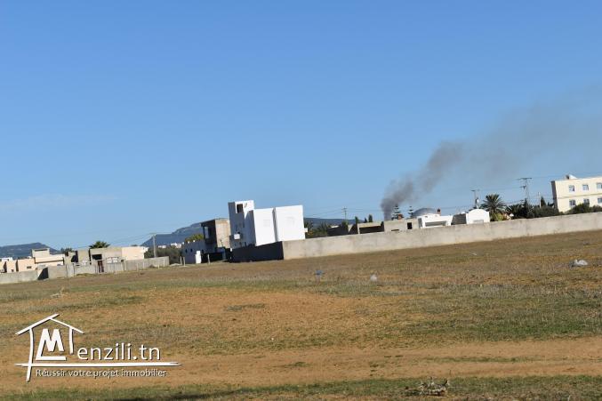 terrain à vendre 20.255.535