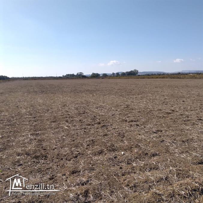 terrain à vendre 20.255.535