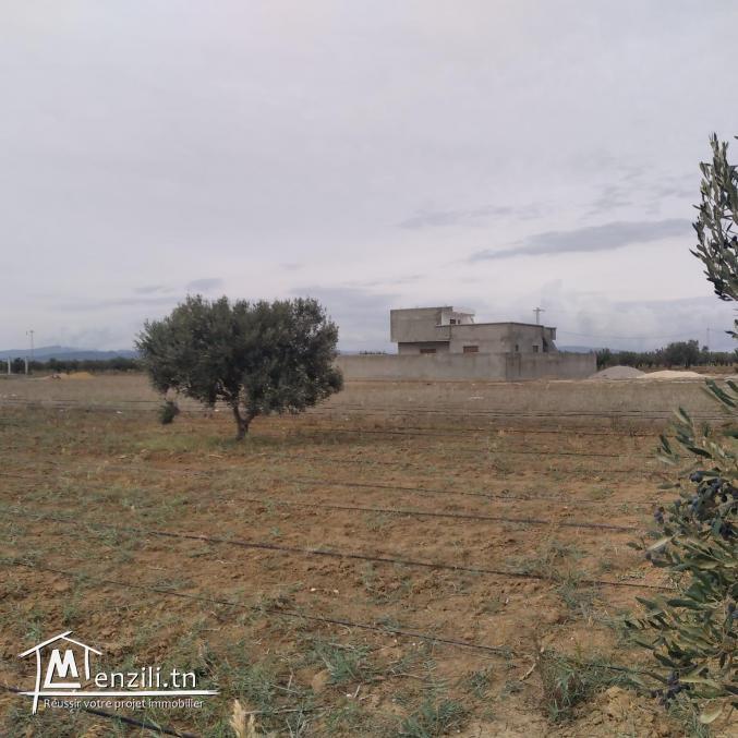 terrain à vendre 20.255.535