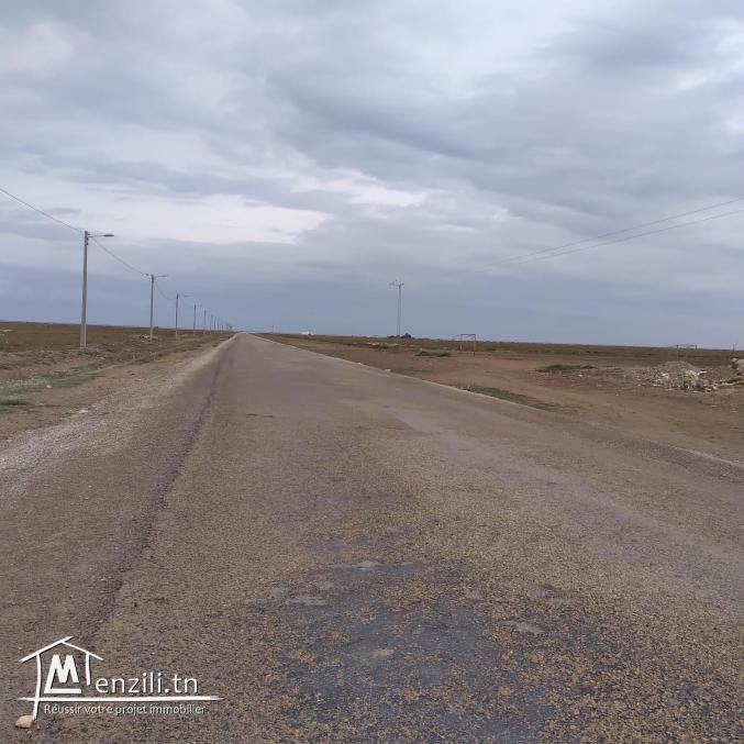 terrain à vendre 20.255.535