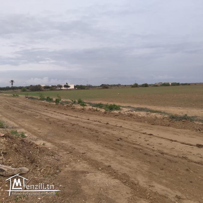 terrain à vendre 20.255.535