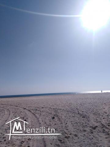 قطعة وحدة  في الحمامات الجنوبية