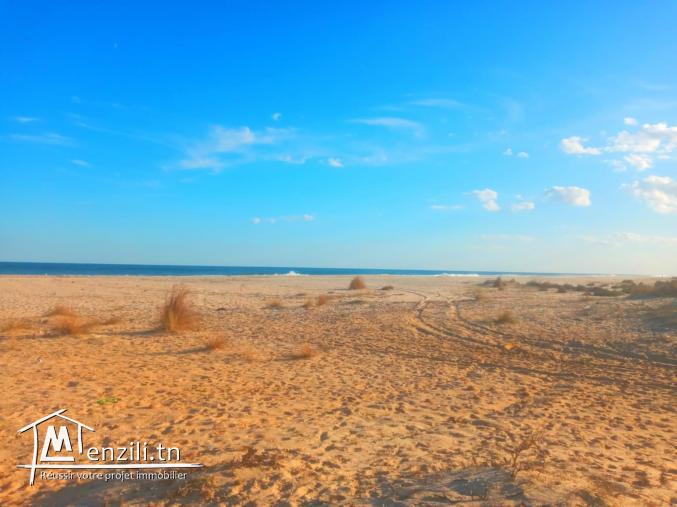 terrain habitable à Bouficha vue direct mer