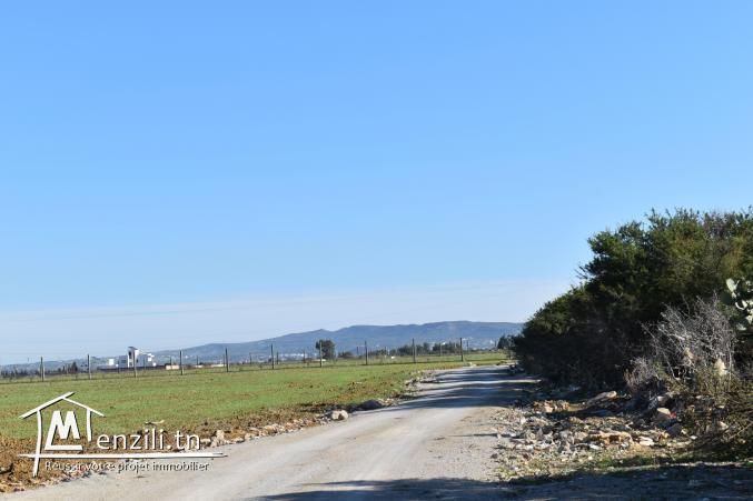 terrain à vendre 20.255.535