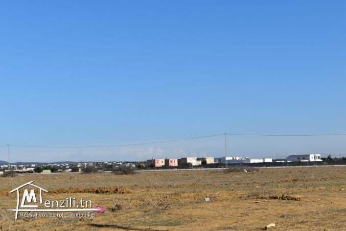 terrain à vendre 20.255.535